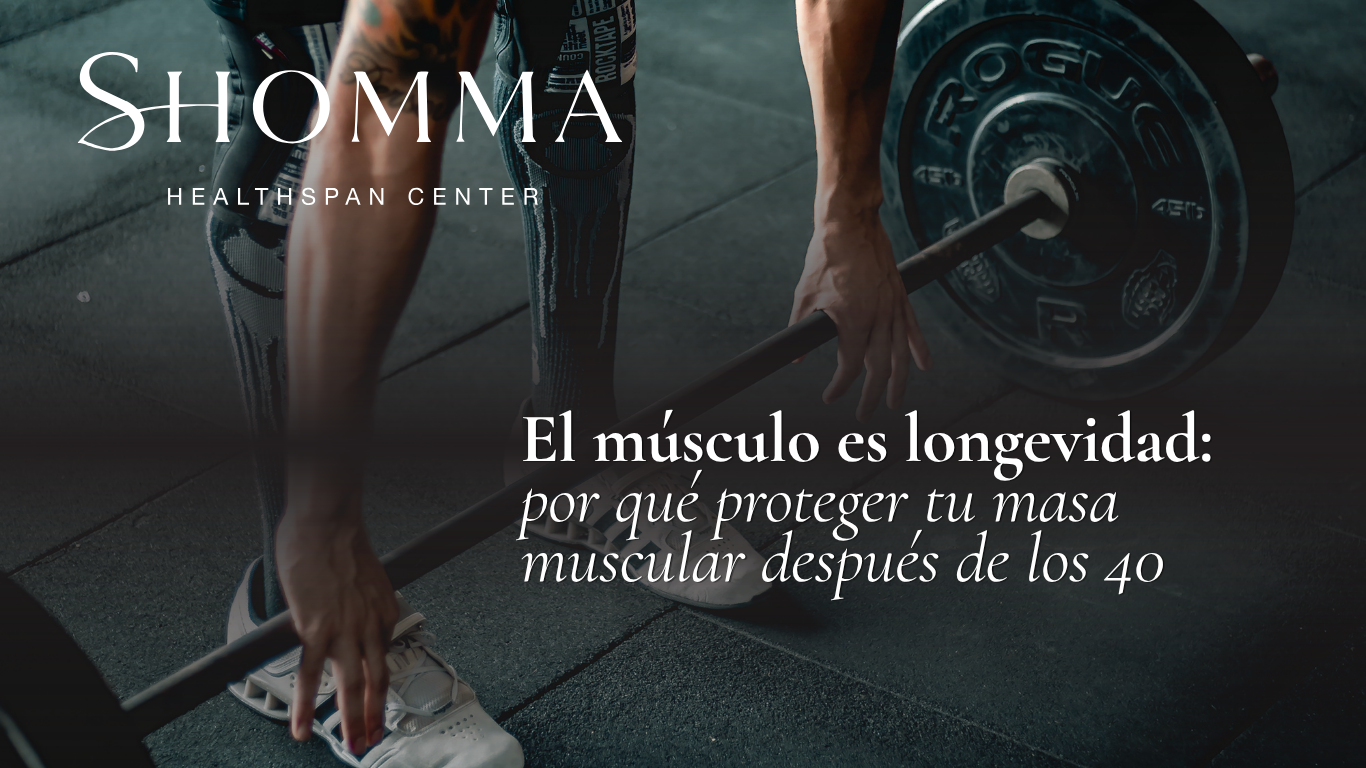Woman preparing to lift a barbell at the gym with the headline Muscle is longevity: why protecting your muscle mass after 40 matters