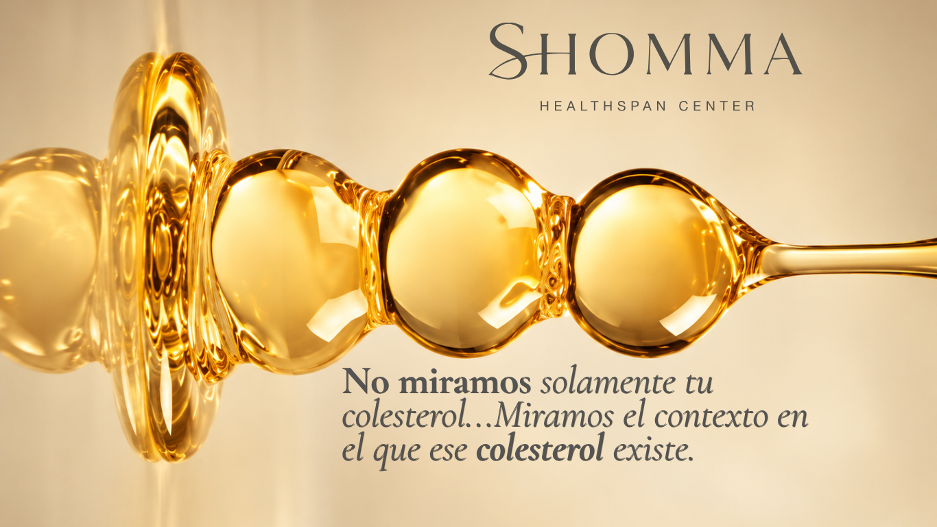 Composición dorada de SHOMMA sobre la interpretación del colesterol dentro del contexto cardiovascular
