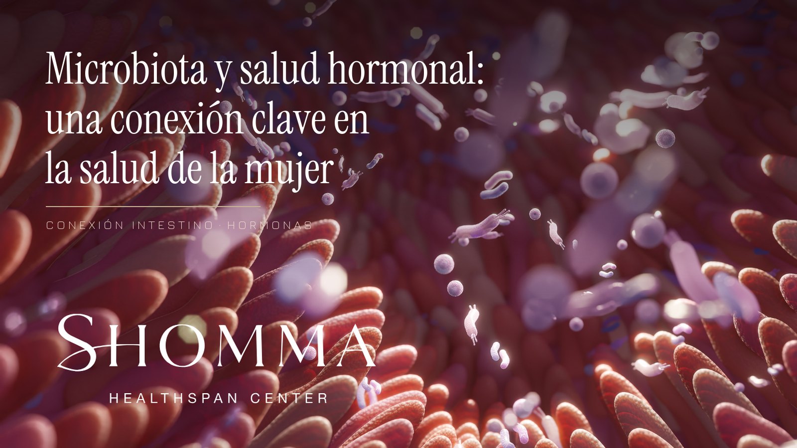 Scientific illustration of the gut microbiota with the article title on microbiota and hormonal health