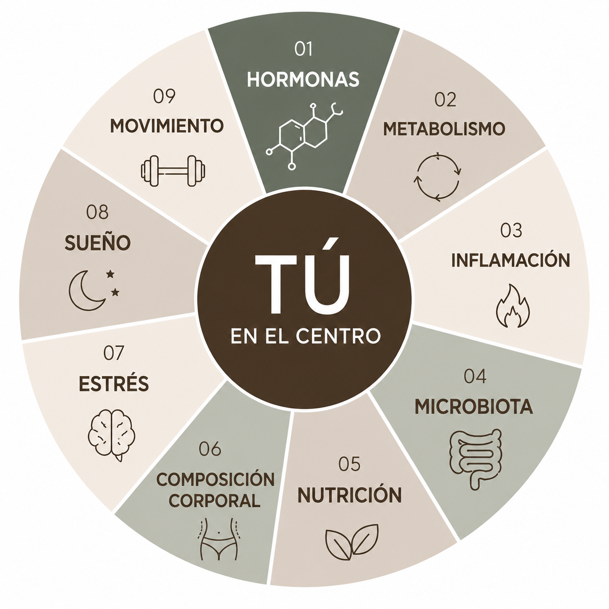 Gráfico circular con las nueve dimensiones de la salud femenina y la mujer en el centro.