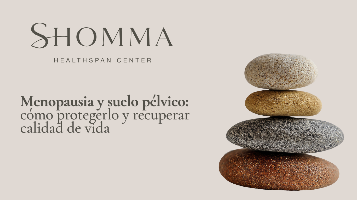 Editorial composition with balanced stacked stones and the headline Menopause and the pelvic floor: how to protect it and regain quality of life