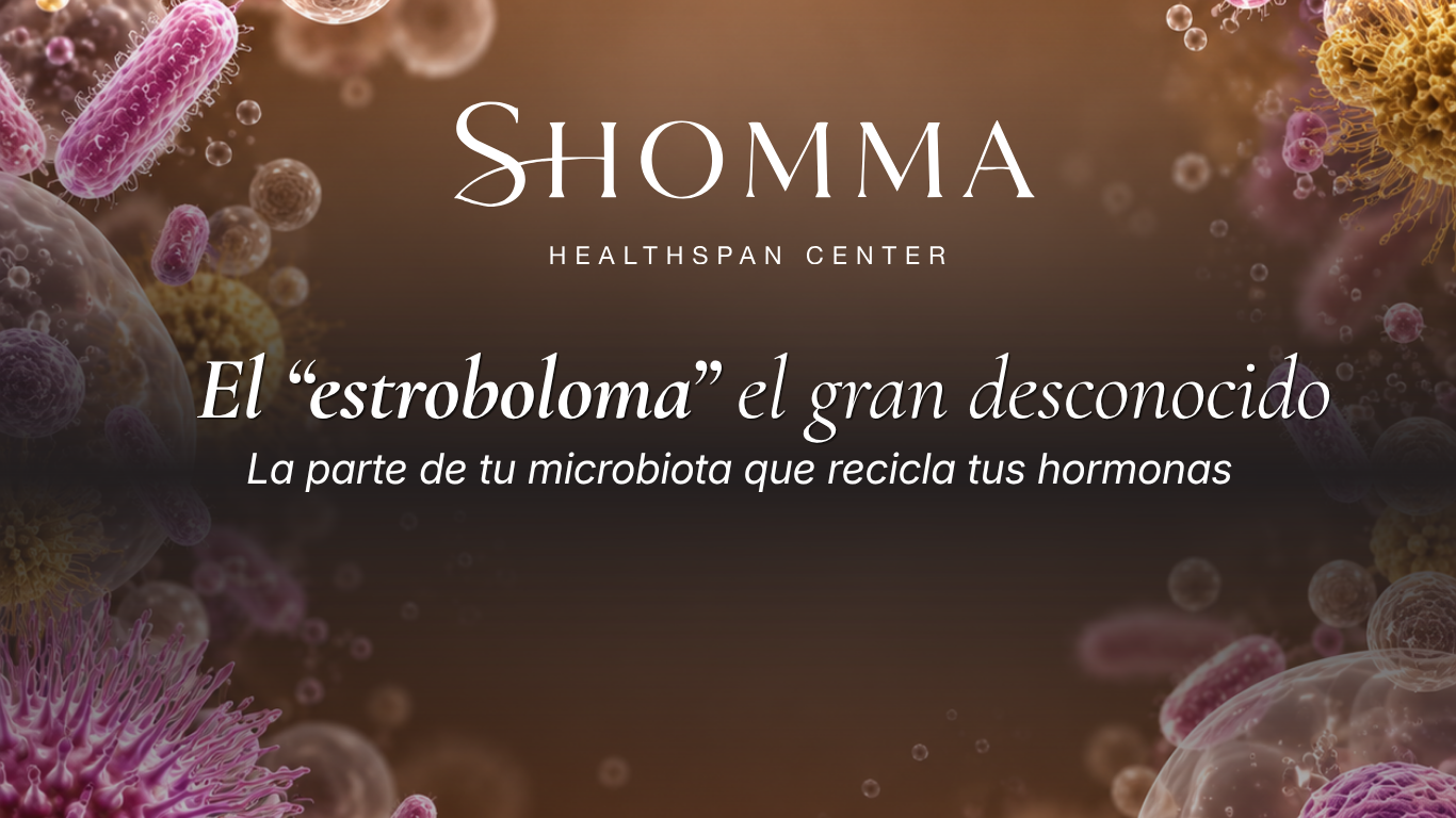Ilustración de bacterias y microorganismos de la microbiota en tonos rosa, violeta y dorado: el estroboloma, el gran desconocido | SHOMMA Healthspan Center